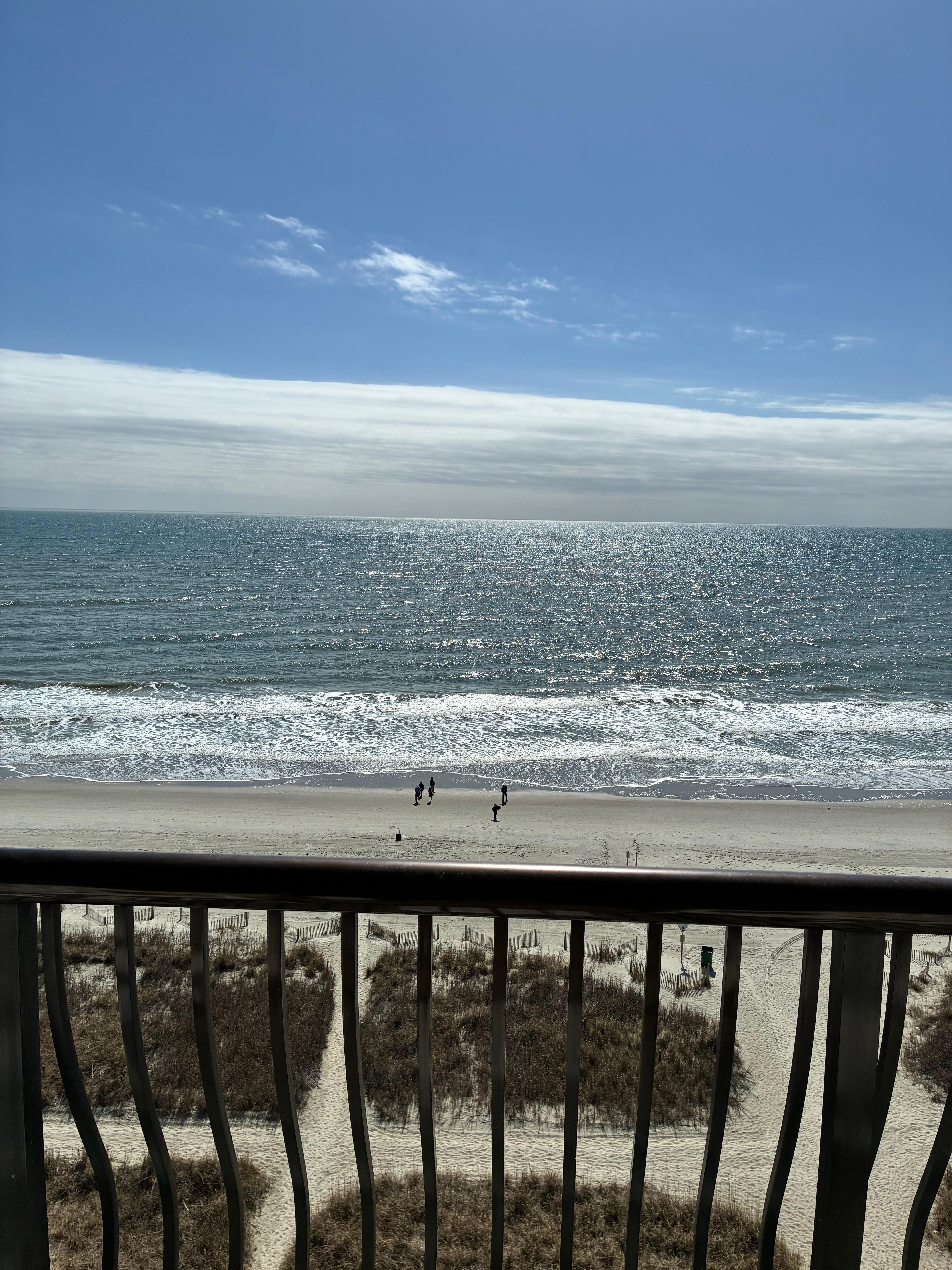 Picture Perfect! 🤩 