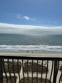 Picture Perfect! 🤩