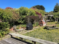 Much of the backyard