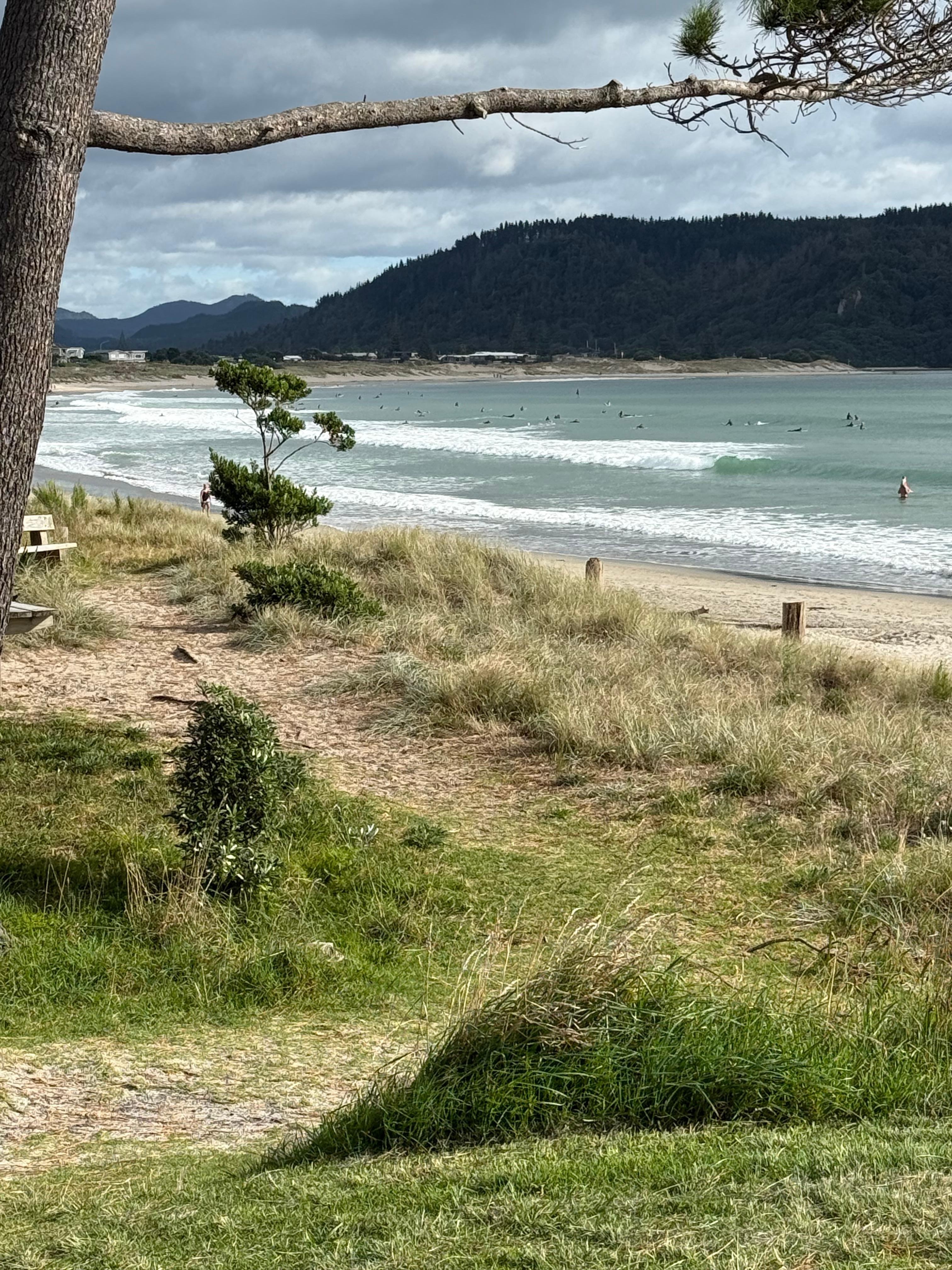 Whangamata beach.