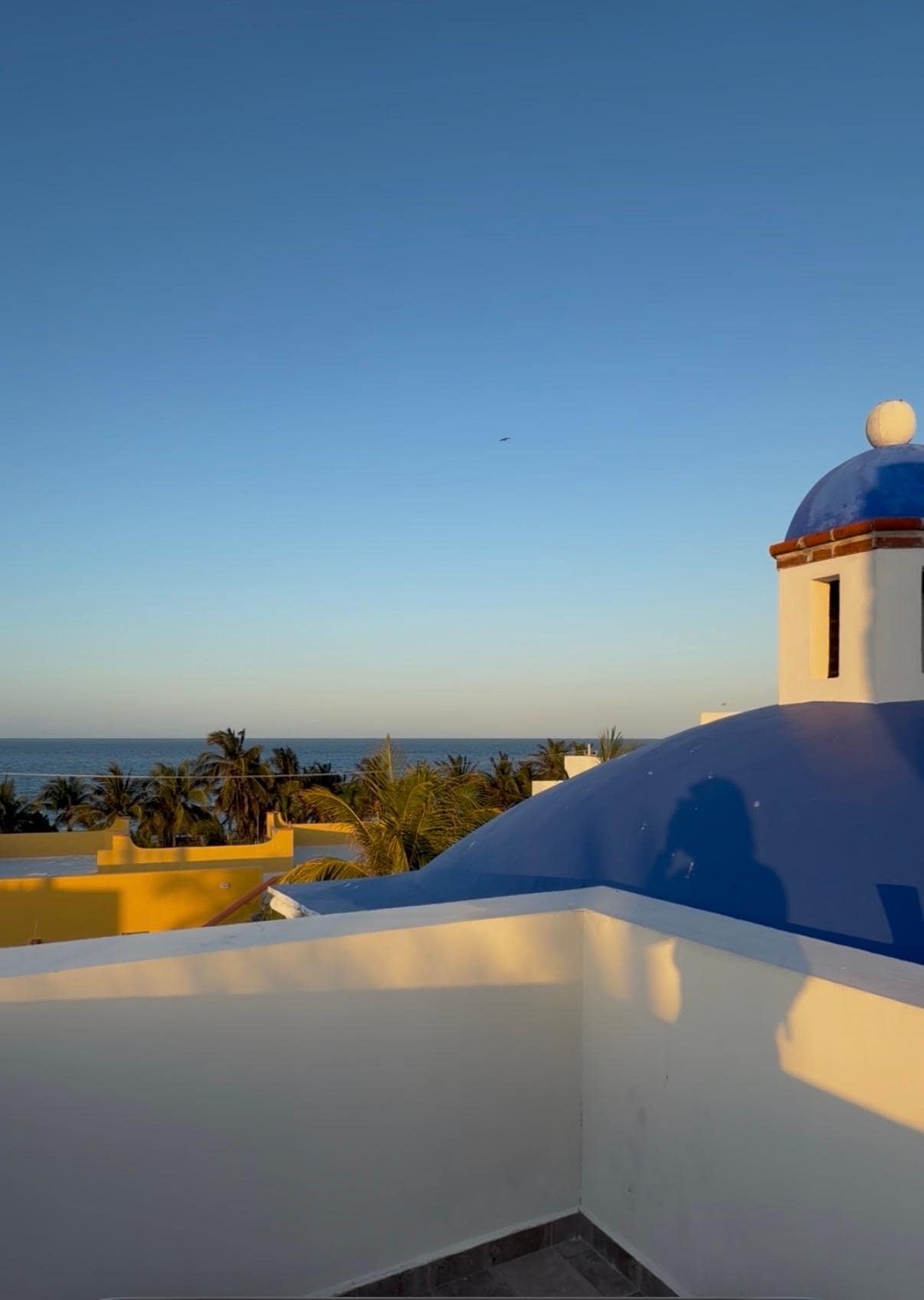 Rooftop view