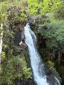 1 of dozens of waterfalls on the Road to Hana! Leave early, take your time, and watch out for landslides and rockfall, but the views are worth it!