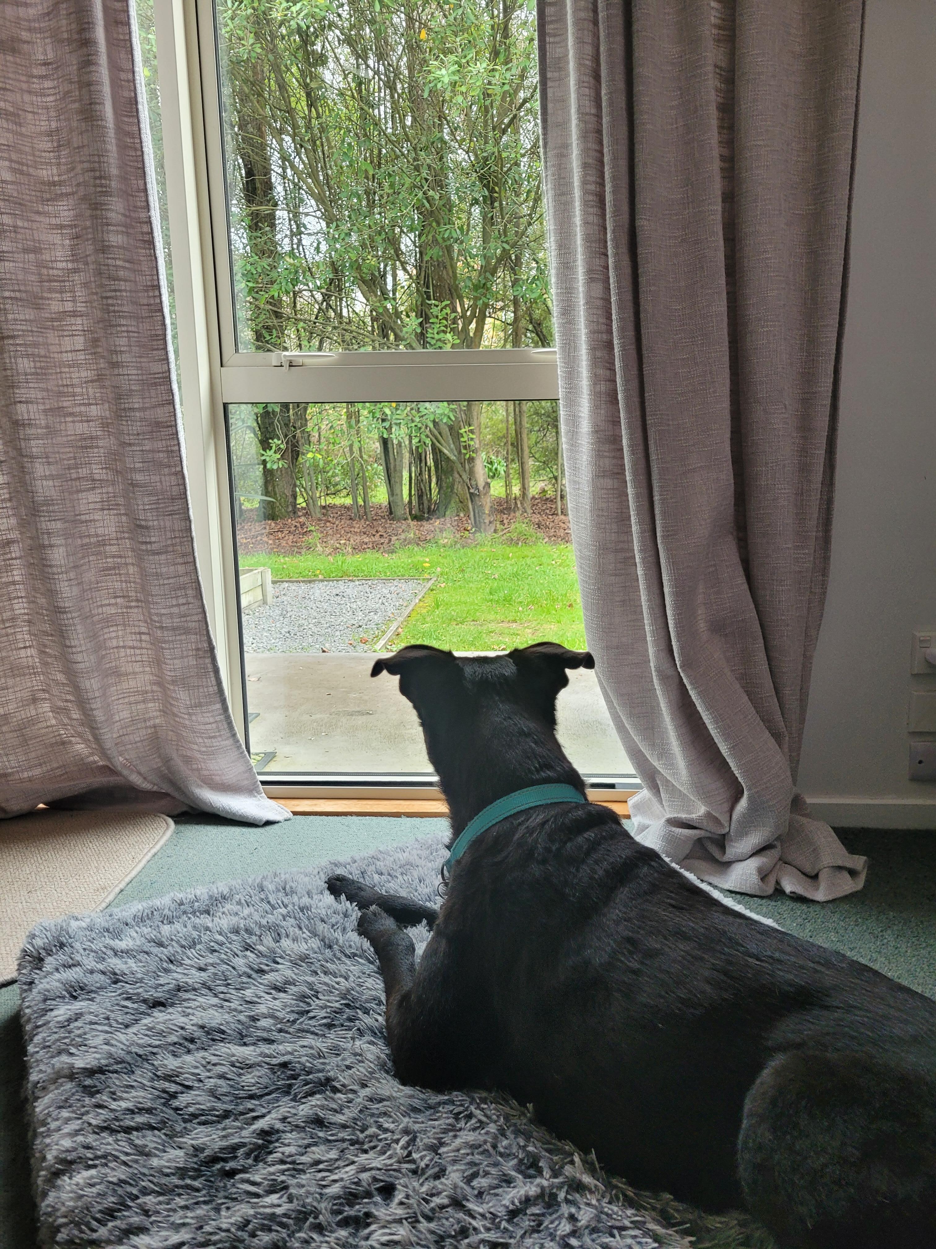 Relaxing and gazing 