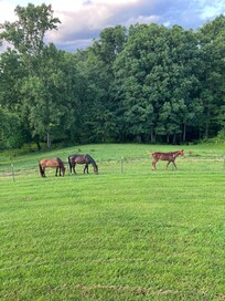 View from our deck
