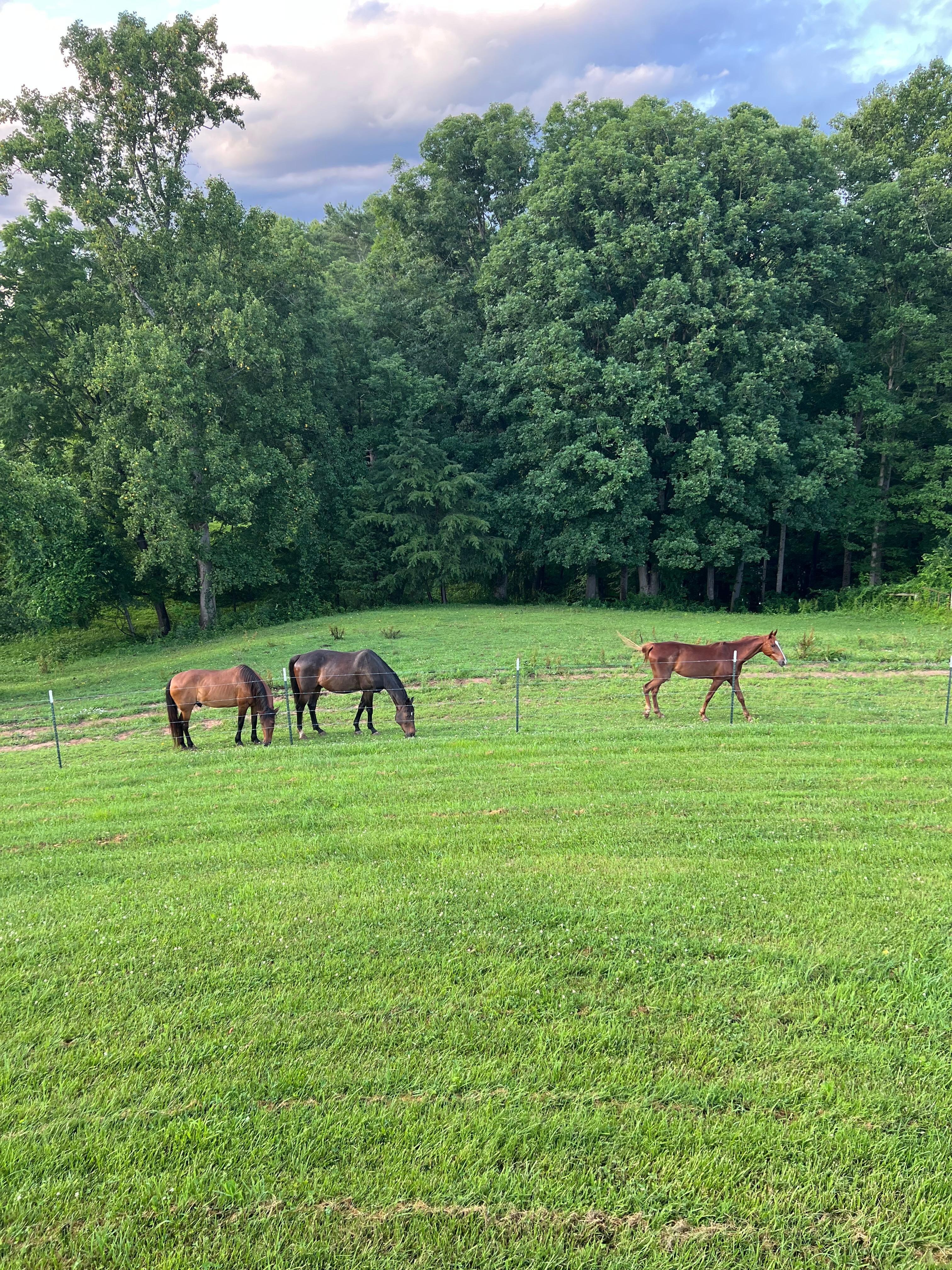   View from our deck