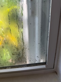 Moldy window in kitchen