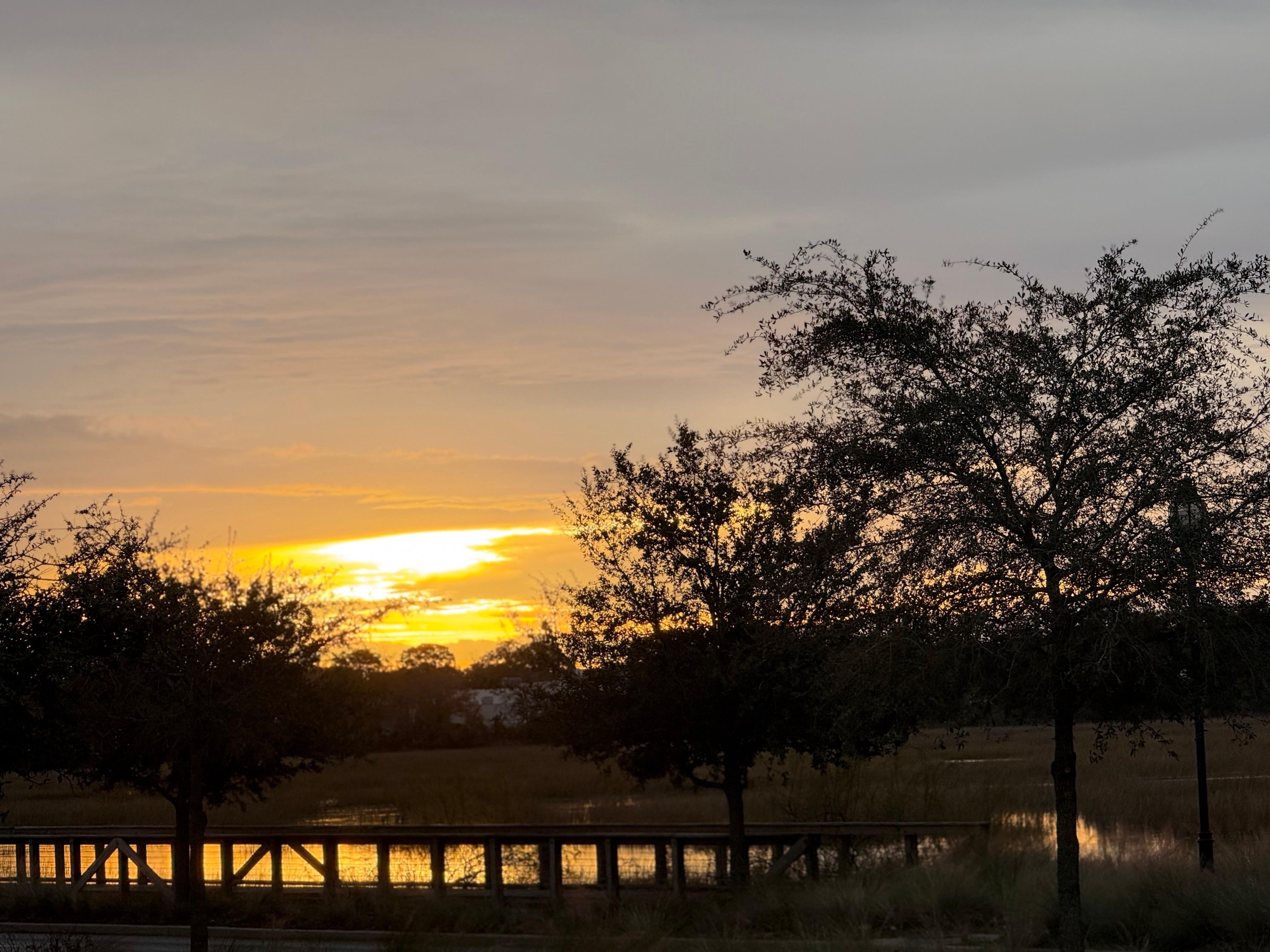 Hotel breakfast view. 