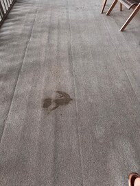 Stains on screened porch