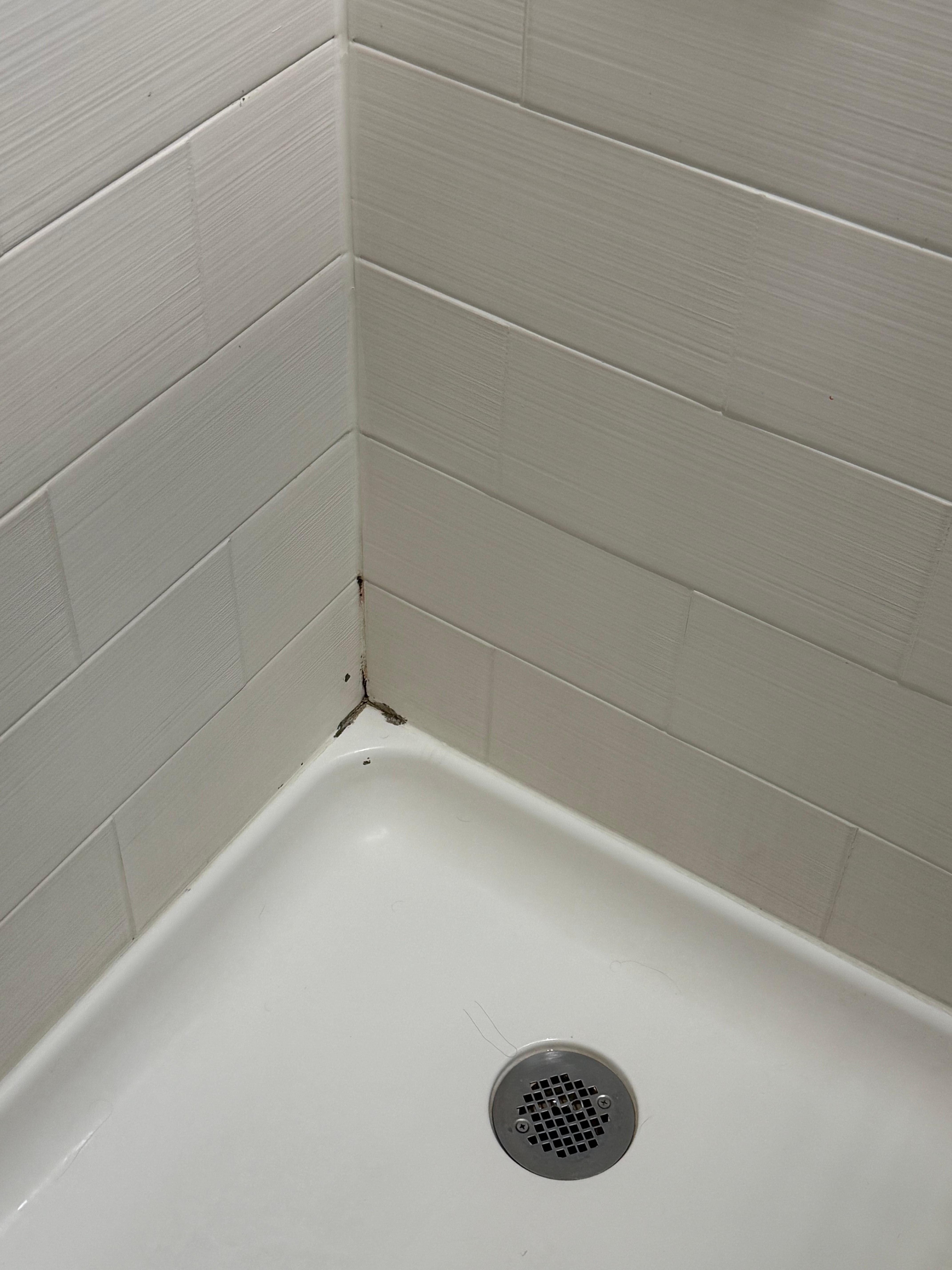 Moldy / dirty shower