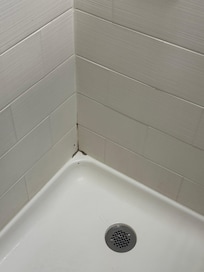 Moldy / dirty shower