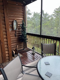 Screened in porch