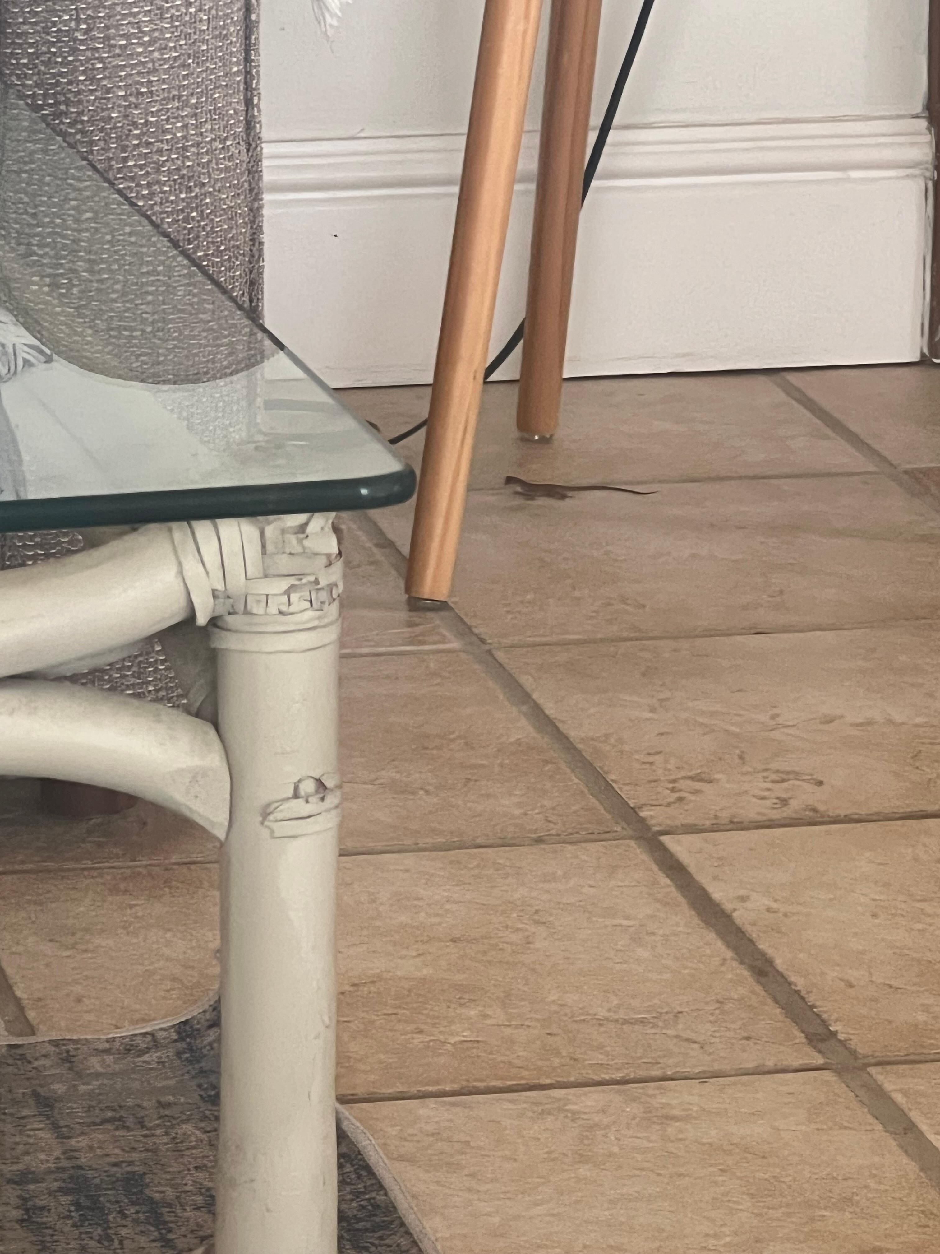 Found two geckos in the living quarters which she asked if I wanted to have an exterminator found a dead one in one of the showers. 