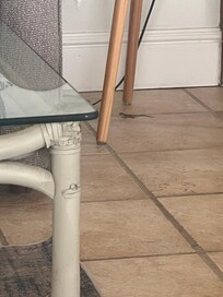 Found two geckos in the living quarters which she asked if I wanted to have an exterminator found a dead one in one of the showers.