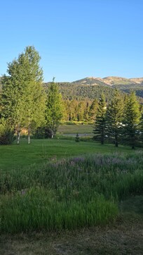 Beautiful day-view from property