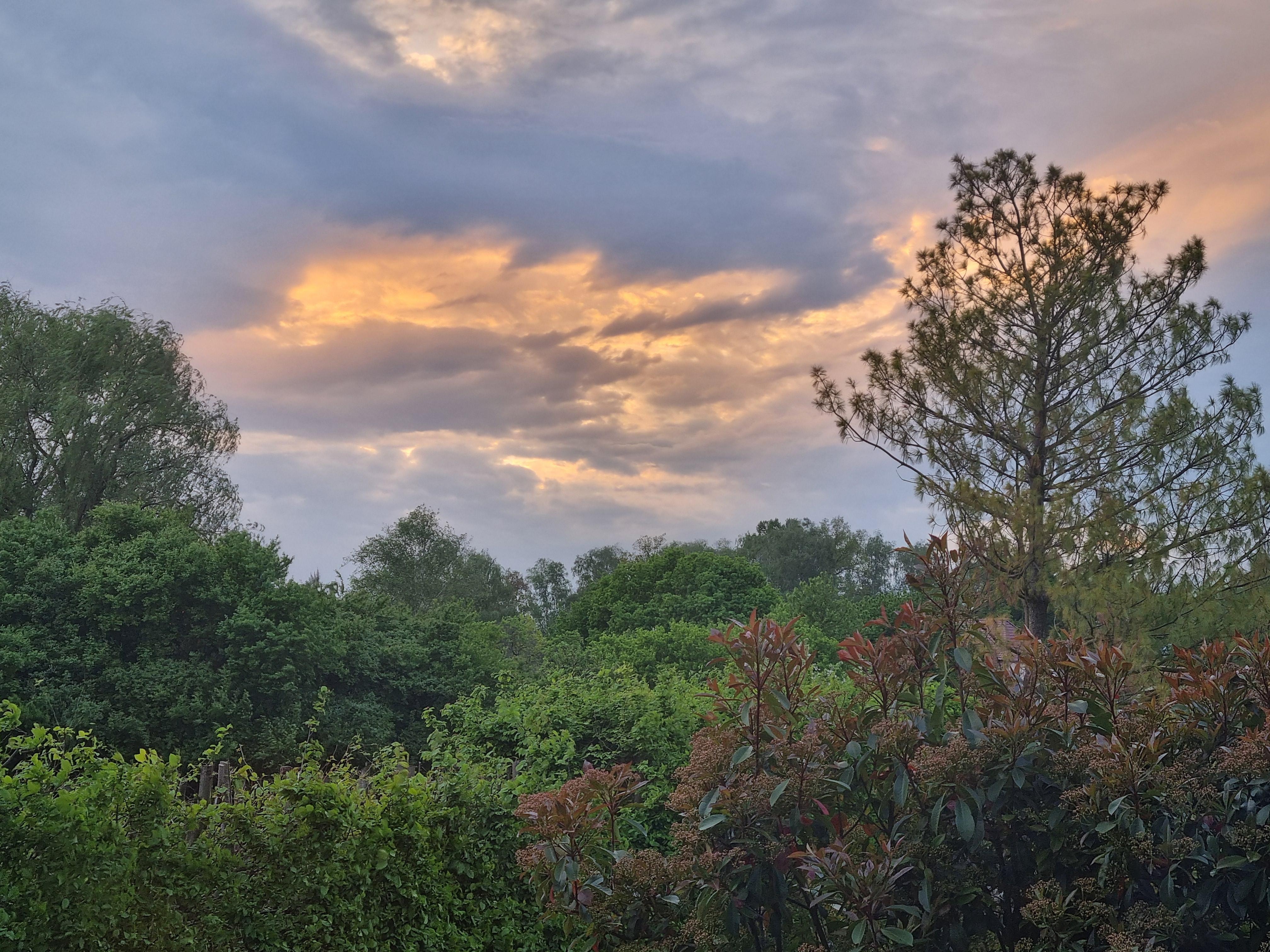 Abenddämmerung