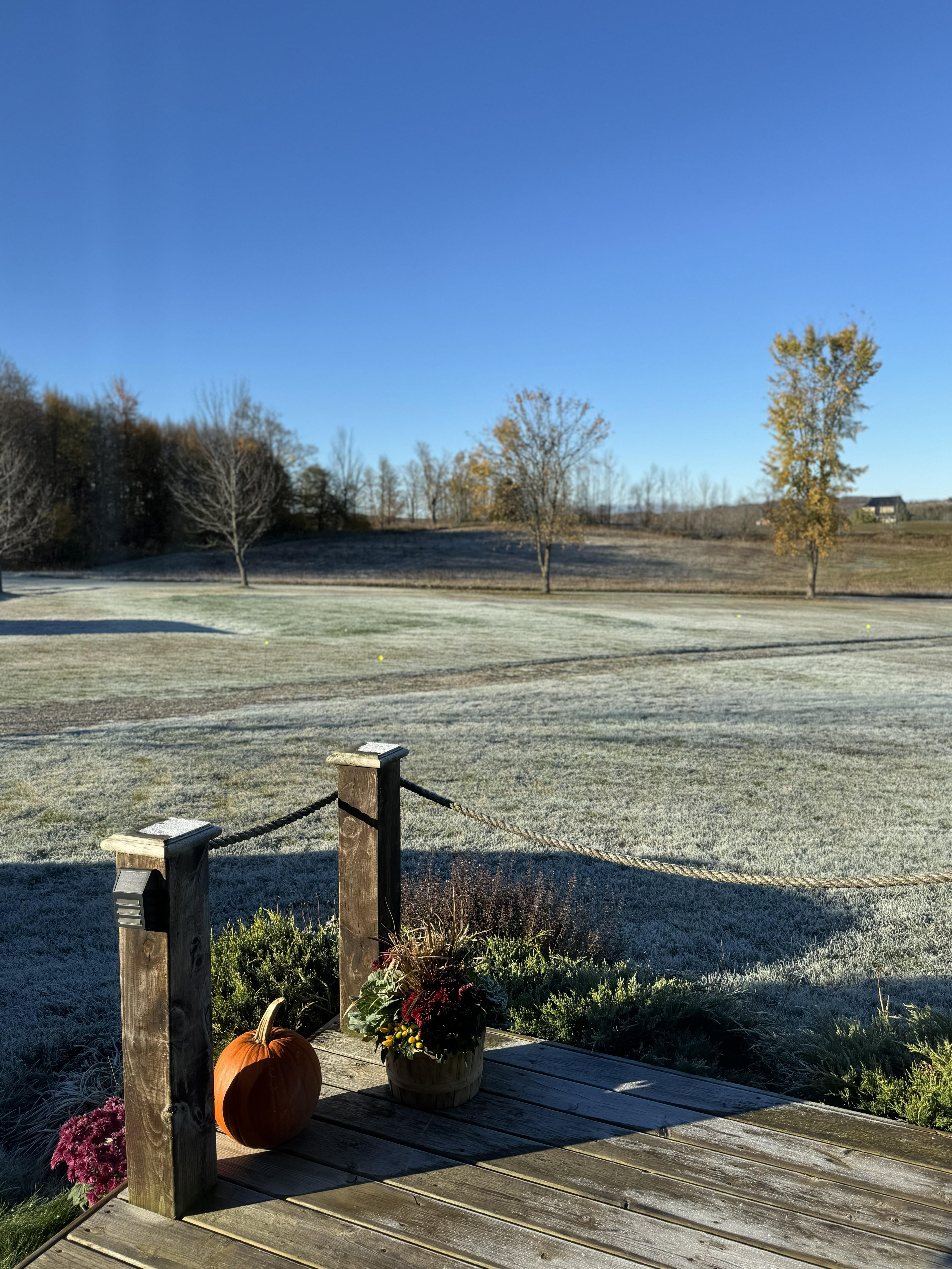 Grounds view from deck