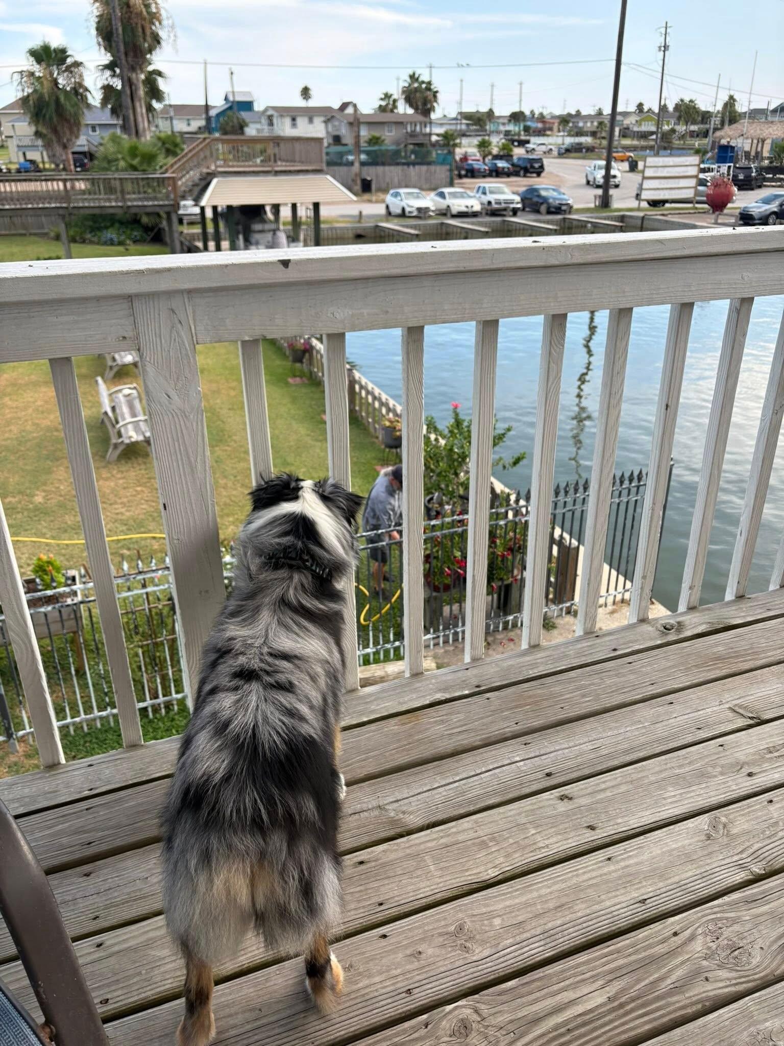 View to the left from the top Deck.