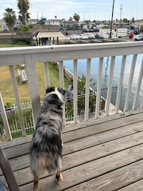 View to the left from the top Deck.