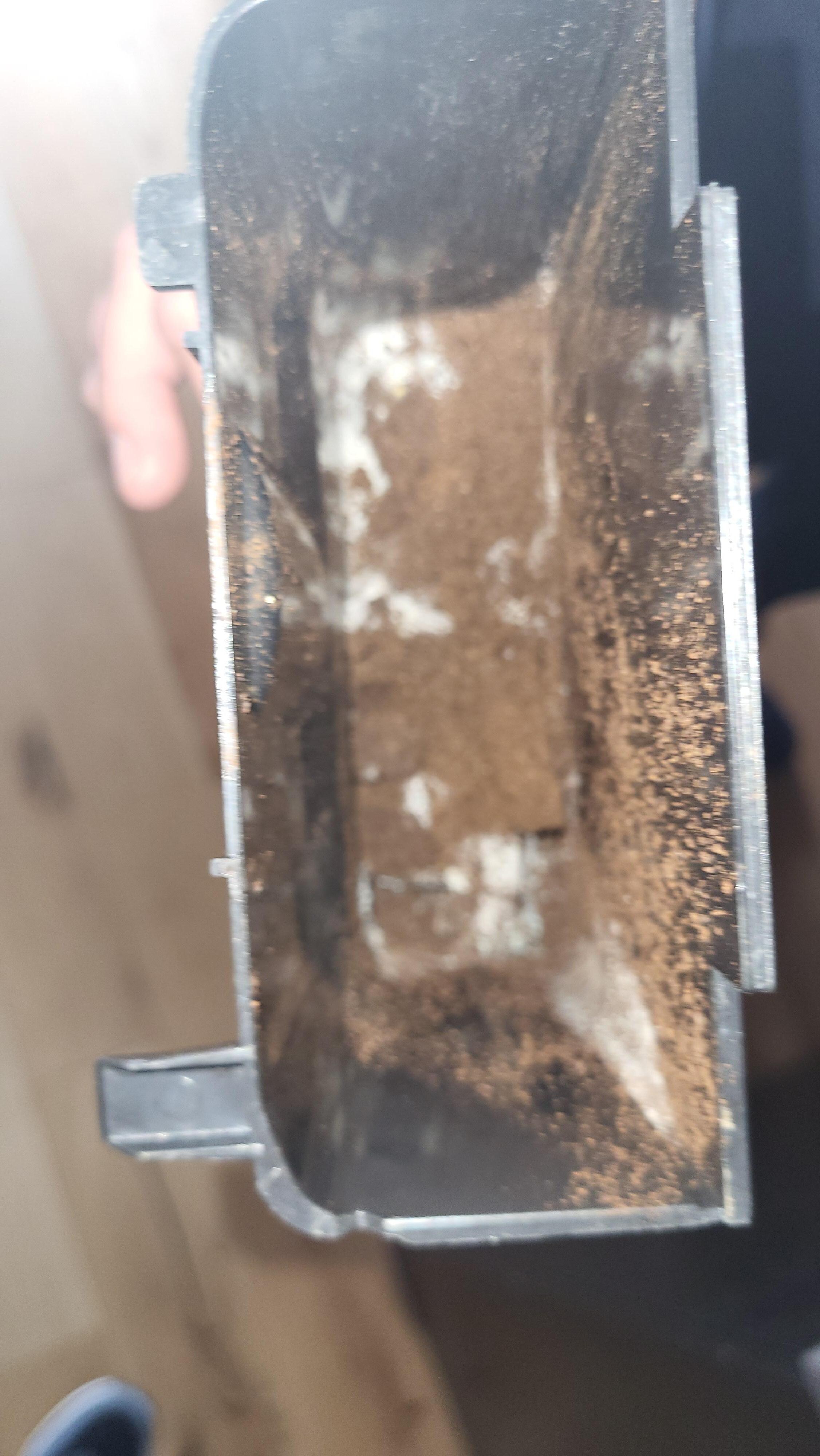 Verschimmelte Kaffeemaschine
