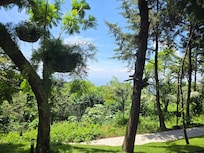 View from our porch