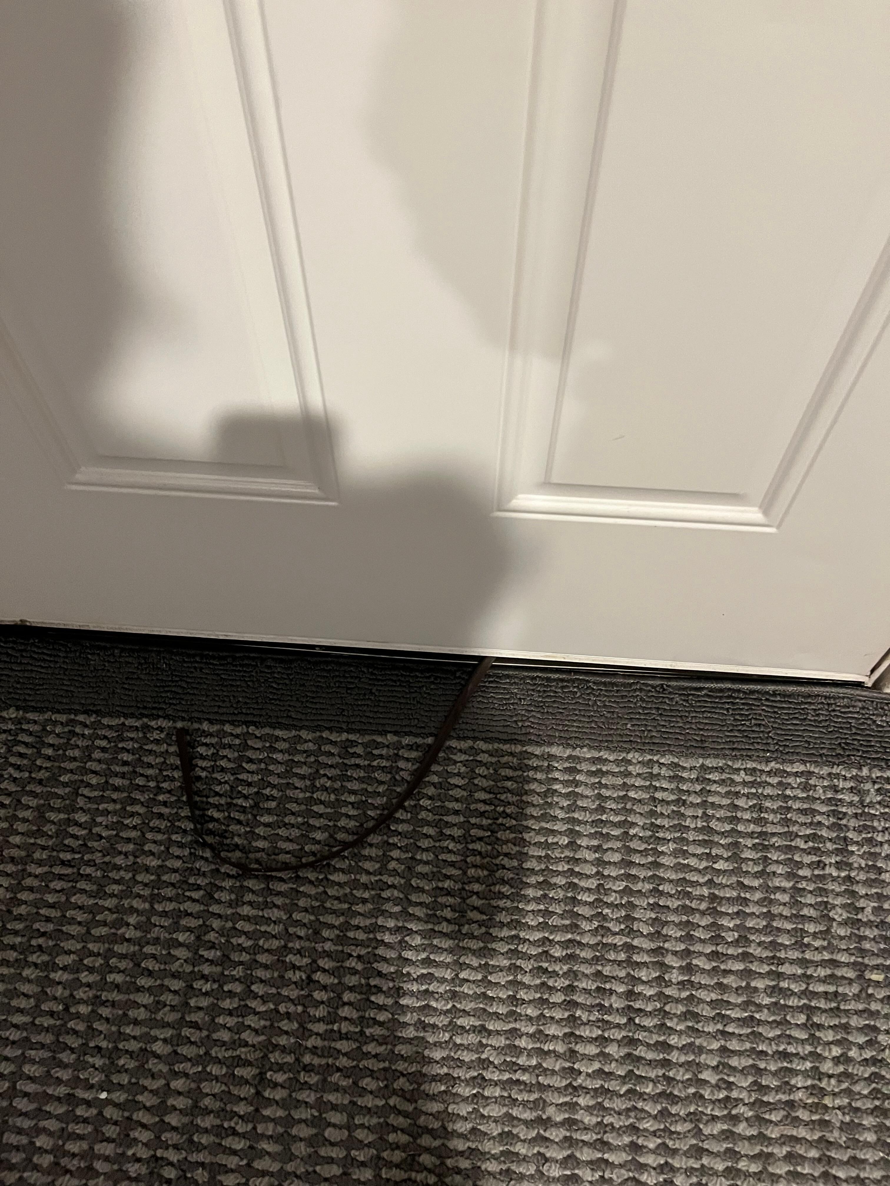Rubber of front door came off