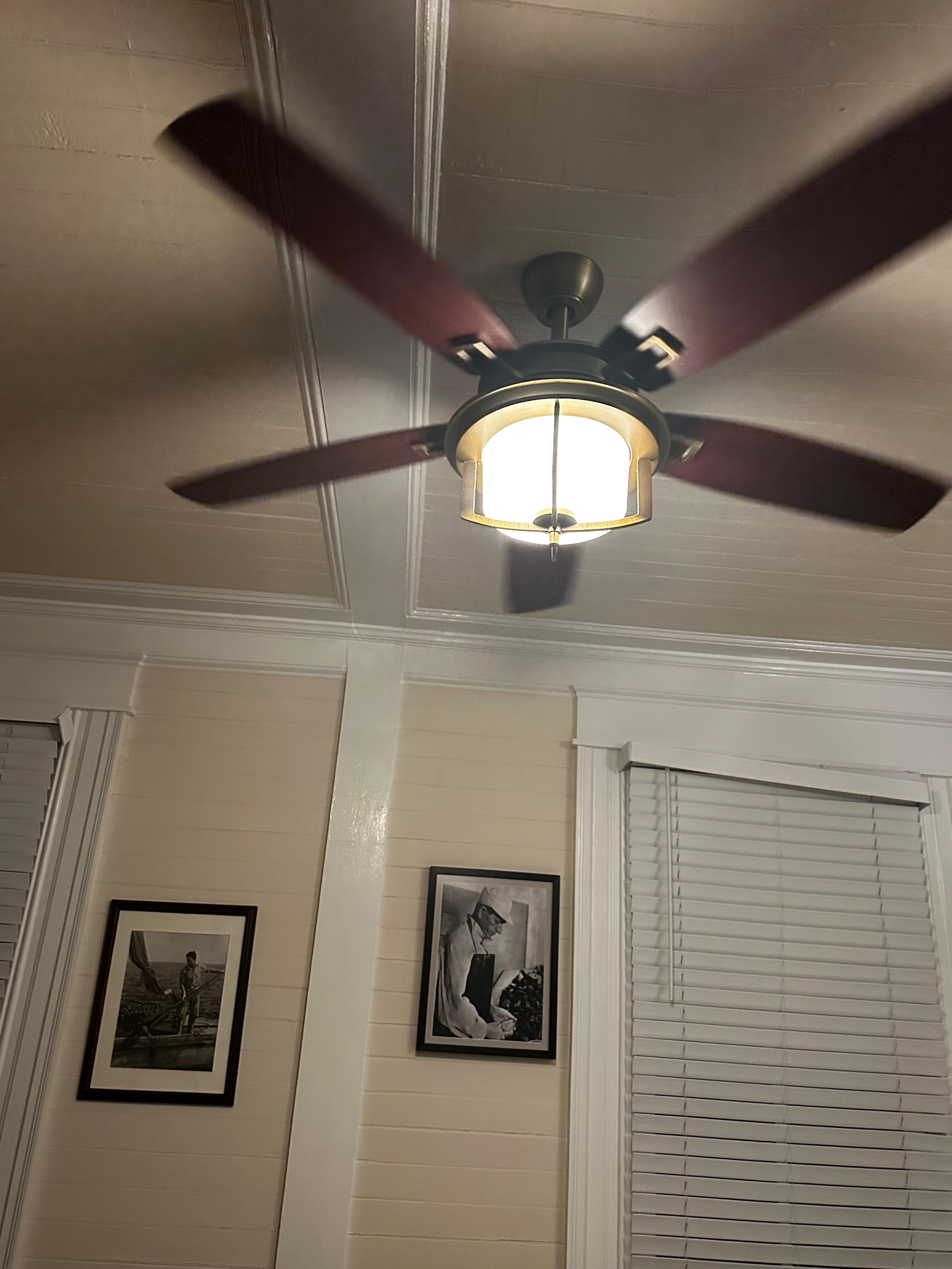 I loved the fan. It has an art deco look. 