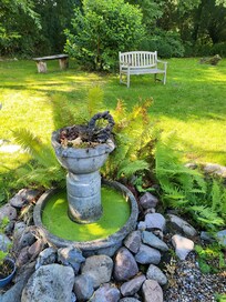 Der Garten