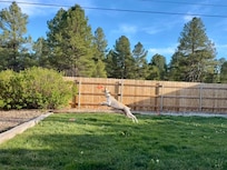Our dog playing frisbee in the yard.