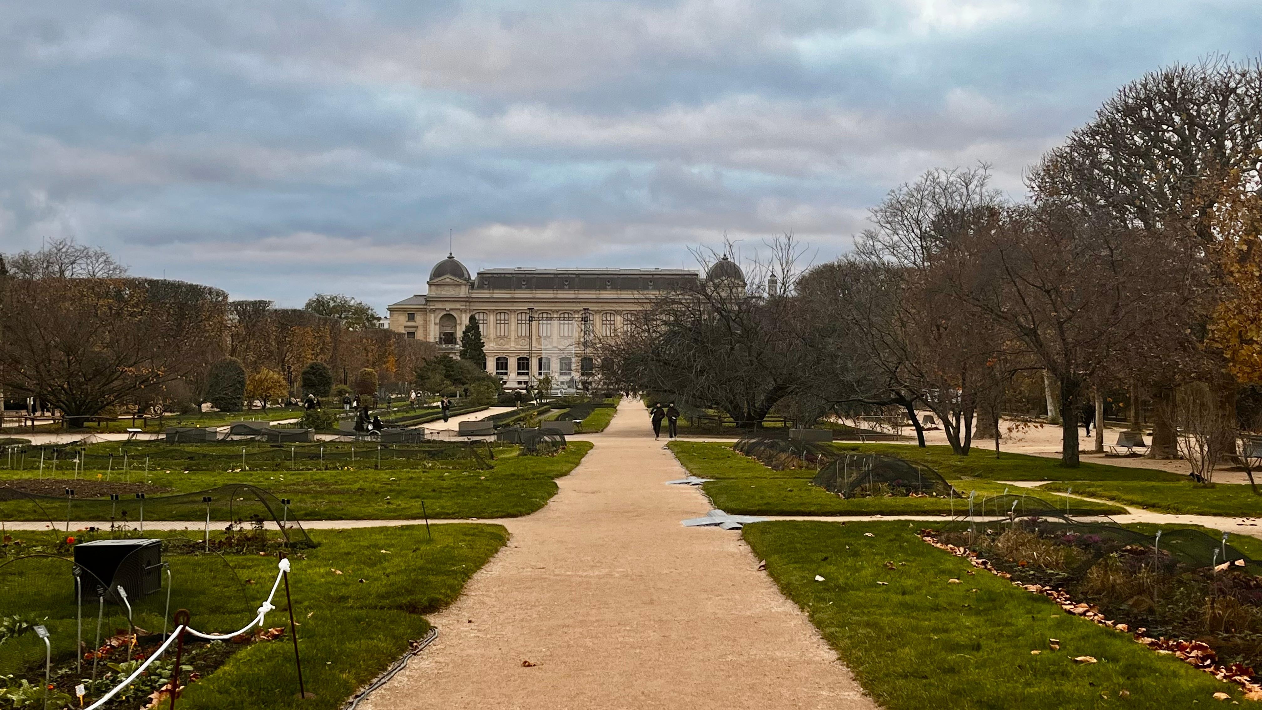 Jardin des plantes, à deux pas de l’hôtel 