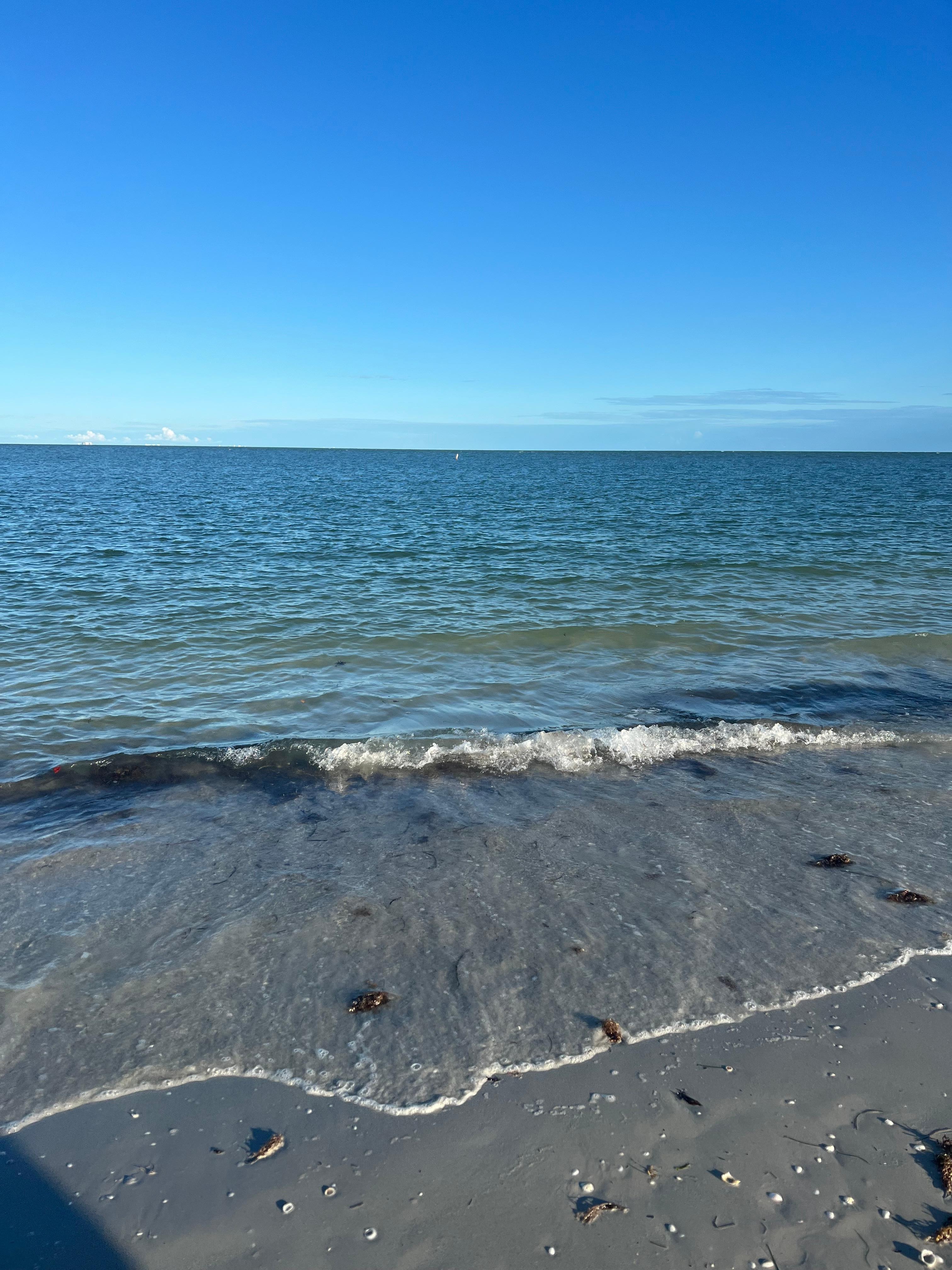 Imagine seeing this everyday 