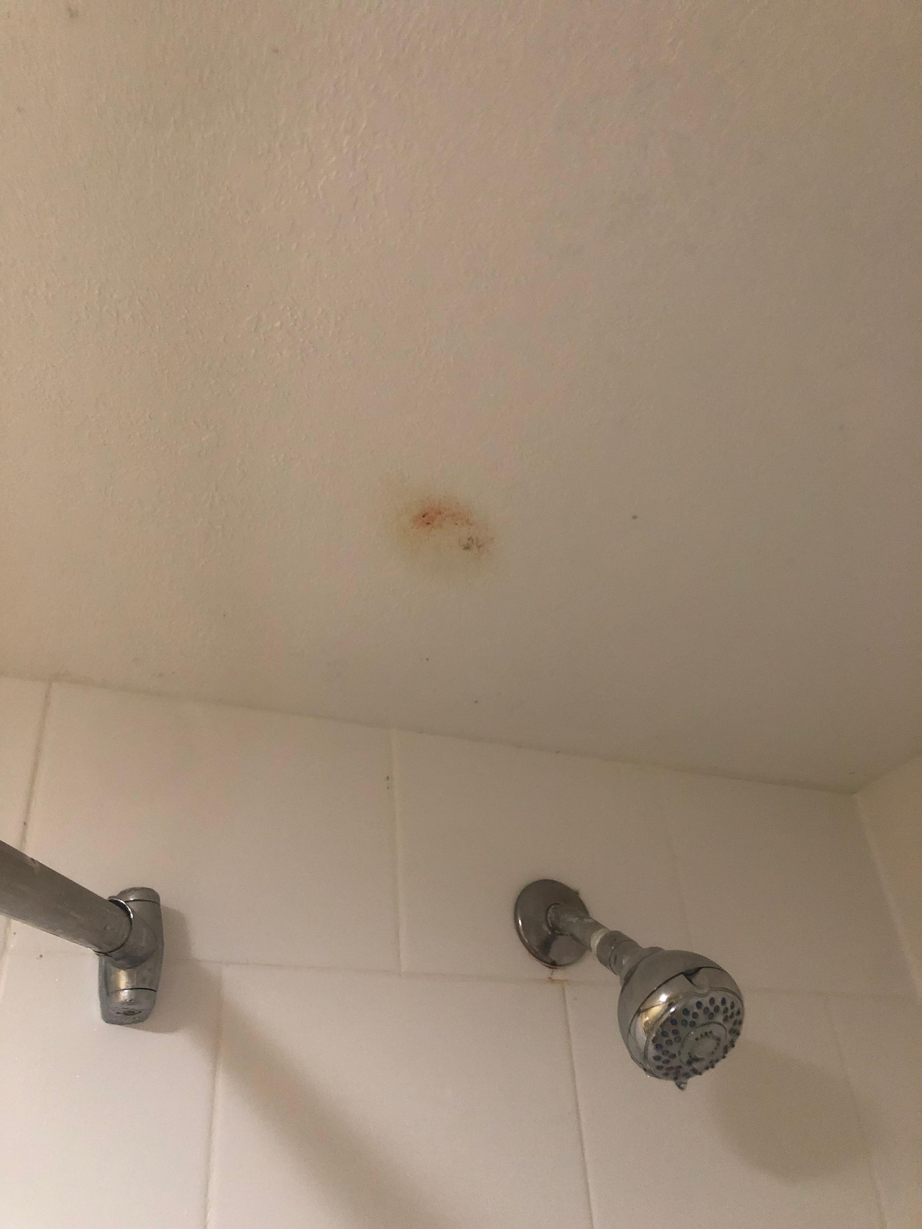 Blood stain on ceiling
