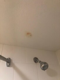 Blood stain on ceiling
