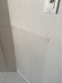 Poorly patched wallpaper in room the entire 4th floor hallway had poorly repaired seams in regular intervals.