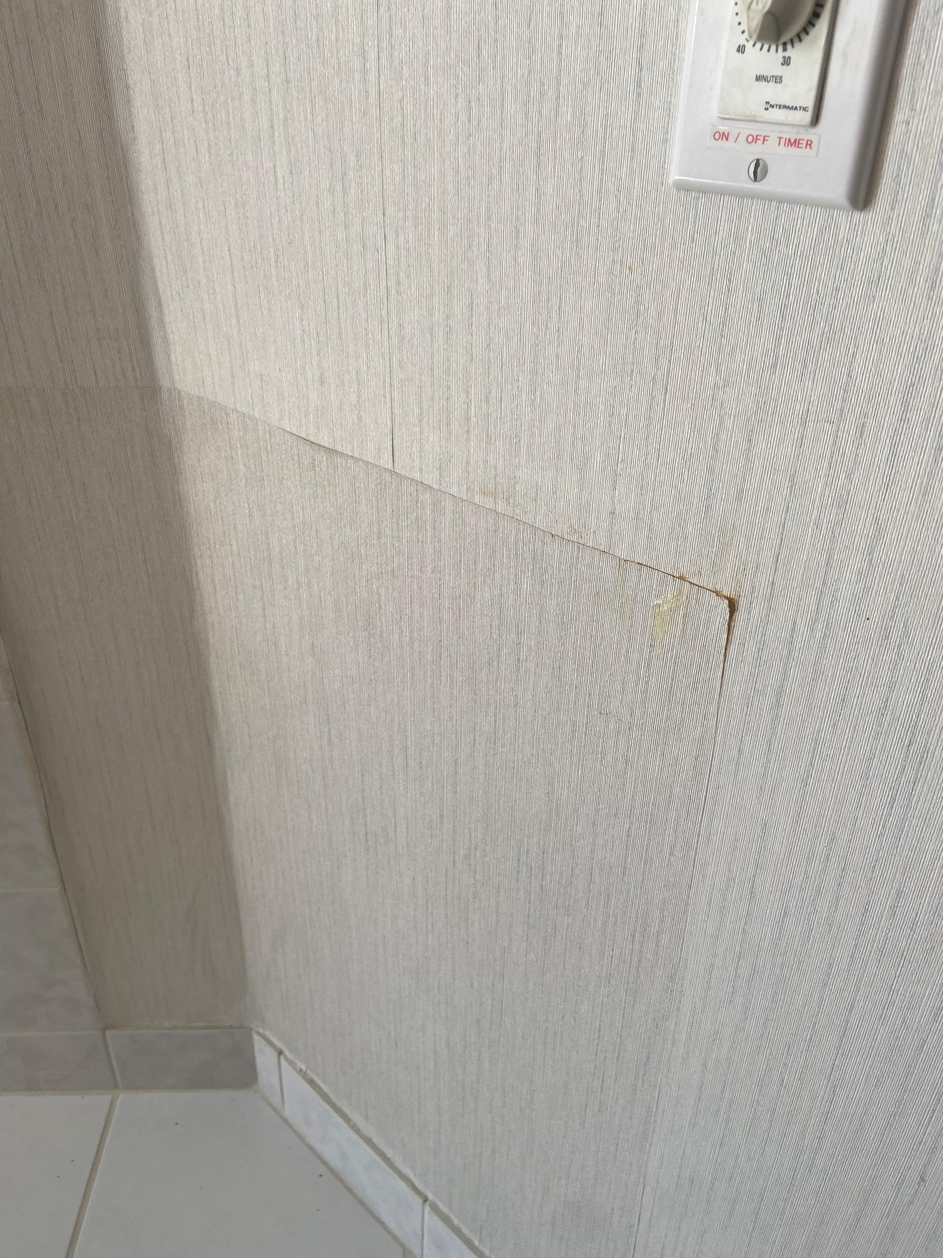 Poorly patched wallpaper in room the entire 4th floor hallway had poorly repaired seams in regular intervals.