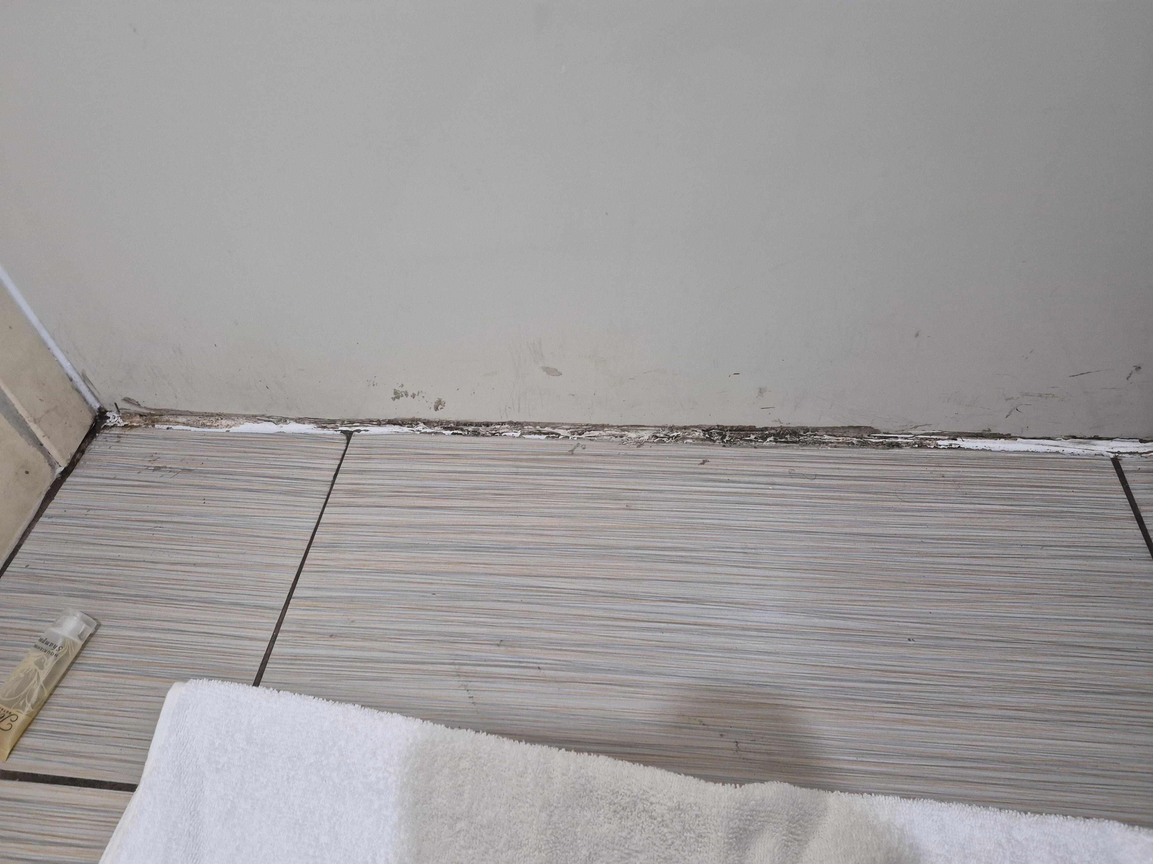 Mold on bathroom  floors
