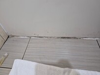 Mold on bathroom floors