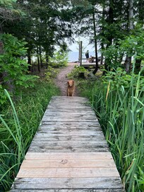 Pathway to lake.
