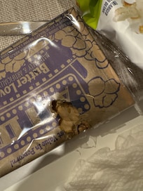 Mice chewing on 1st night