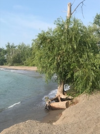 Lovely quiet beach just steps away