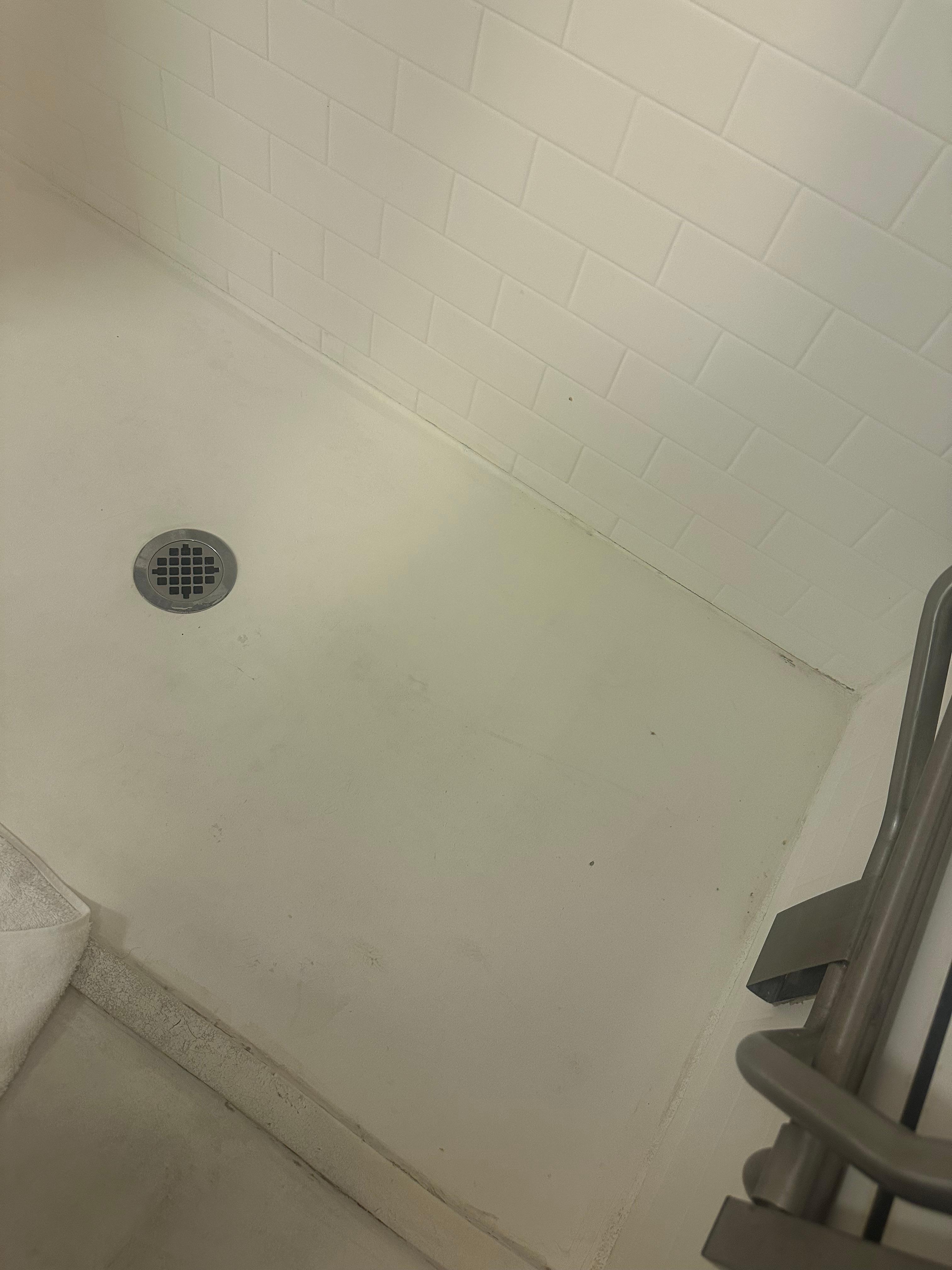 The shower literally speaks for itself. Disgusting.