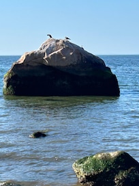 Beach at baiting hollow