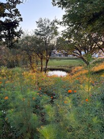 Lovely grounds to walk and stretch and contemplate.