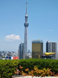Daytime view of skytree from rooftop lounge.