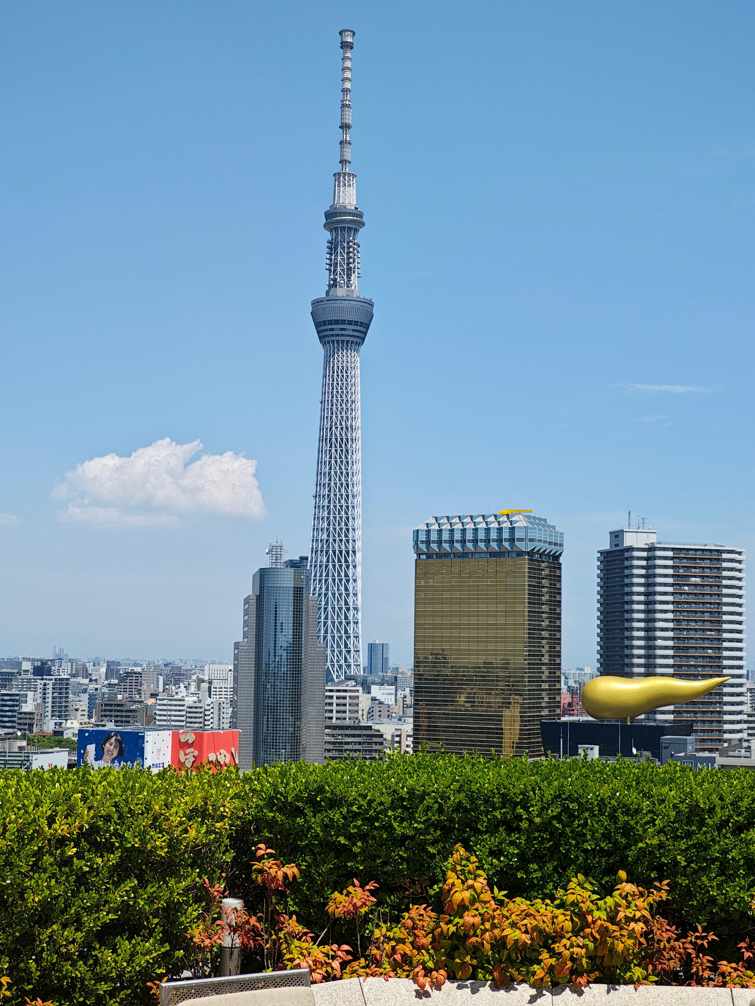Daytime view of skytree from rooftop lounge. 