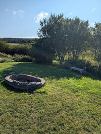 Backyard view with firepit and wood bench with the pathway to the creek in the background.