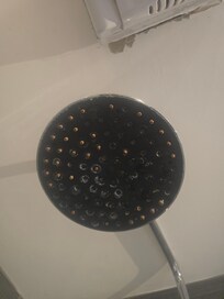 Shower head