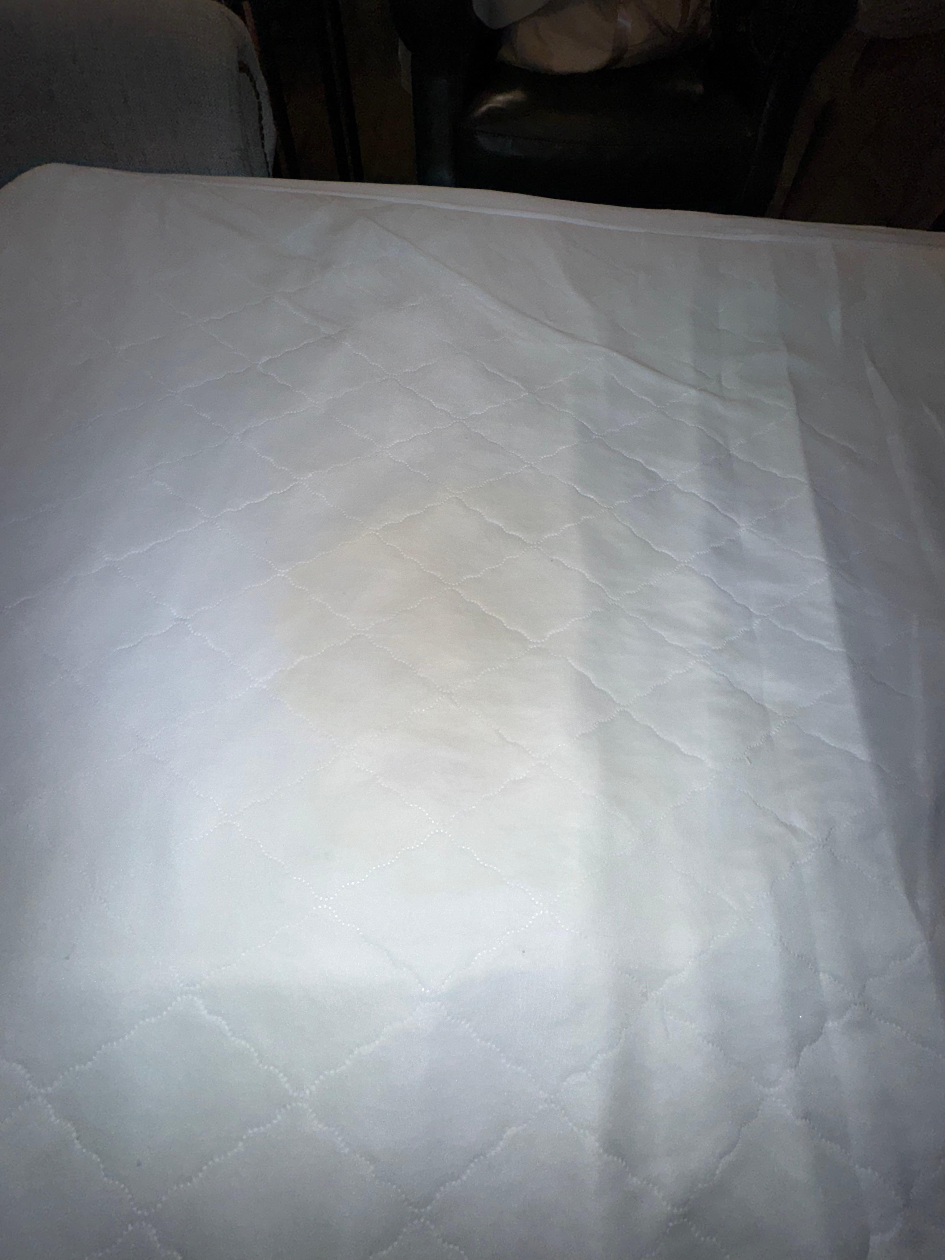 Bodily fluid stains on pullout.  