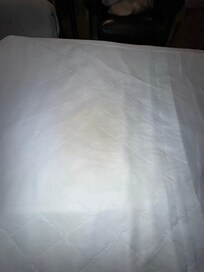 Bodily fluid stains on pullout.