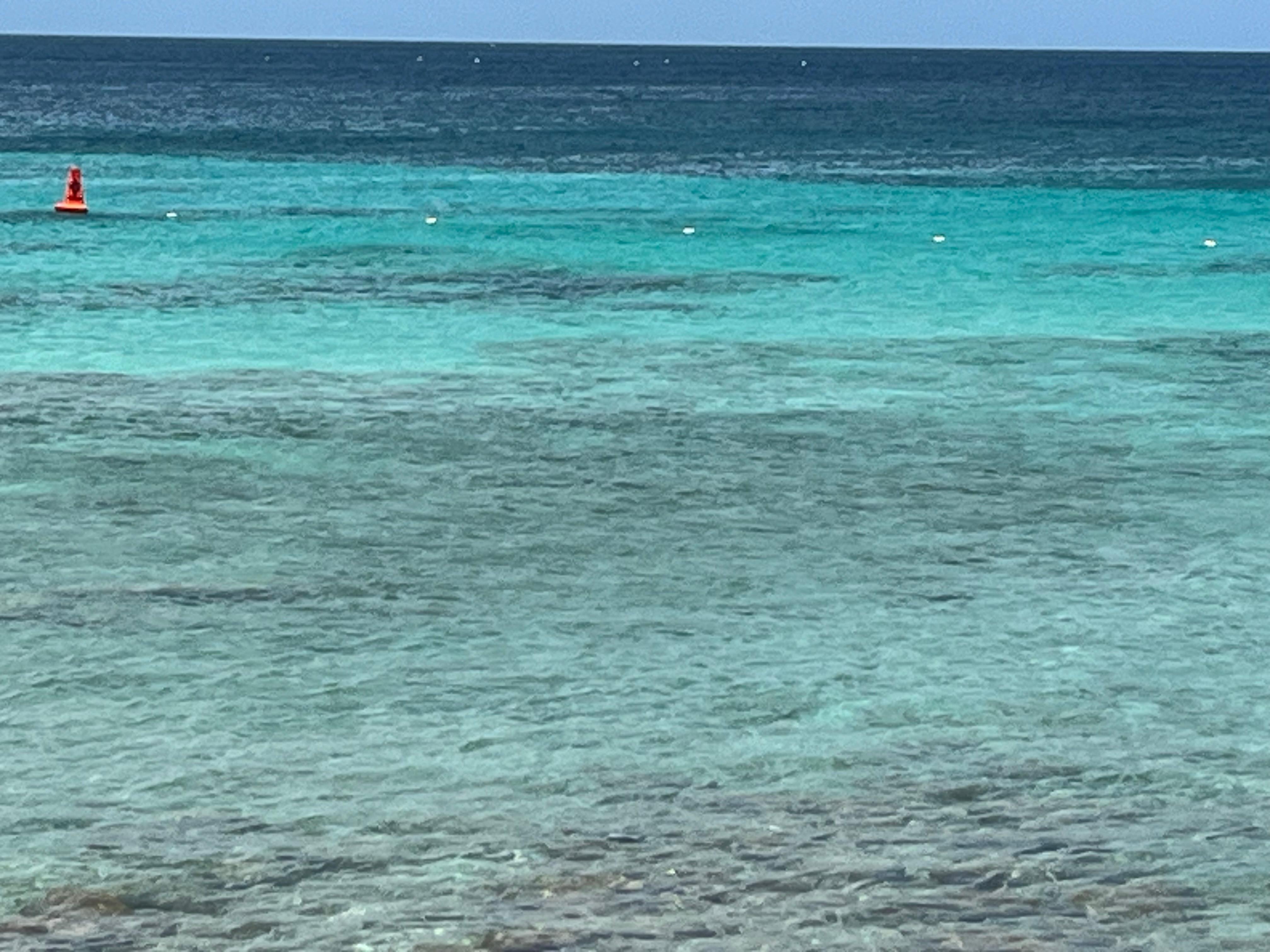 Snorkeling with the turtles across from Beach White Villa. 