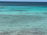 Snorkeling with the turtles across from Beach White Villa.